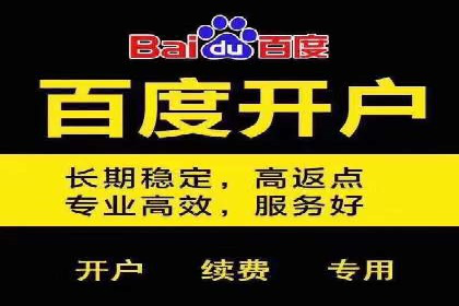 百度竞价策略：实战案例分析
